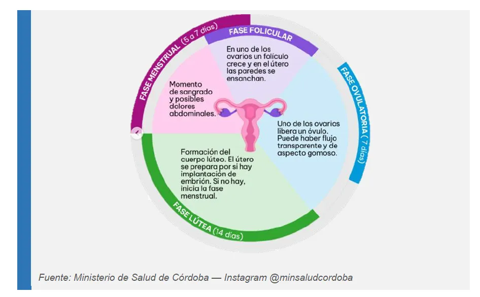 Imagen descriptiva de CLEO