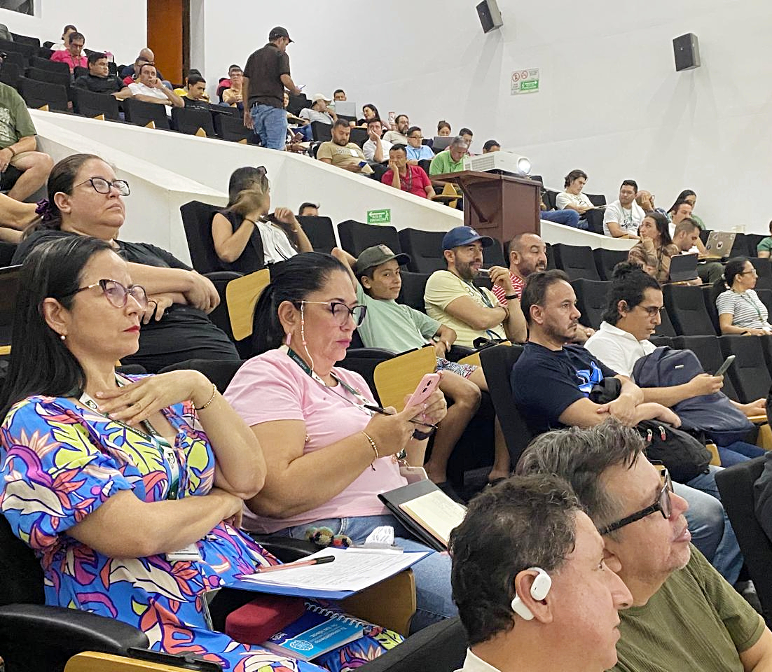 Imagen de Galería